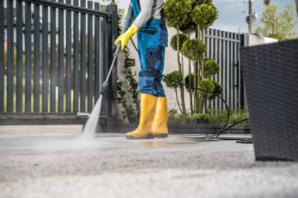 Best Pressure Washing Siding  in Eastwood, LA