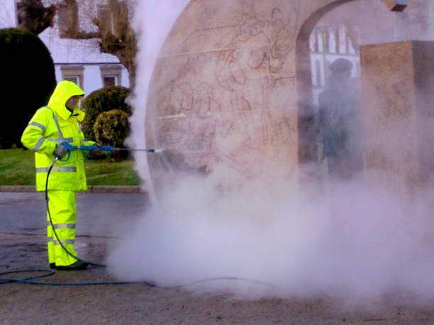 Best Affordable Pressure Washing  in Eastwood, LA